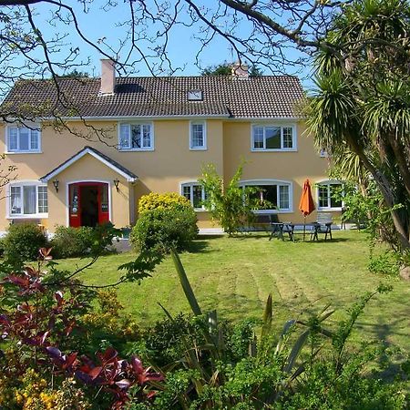 Ashe'S Accommodation Dingle Esterno foto